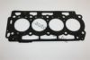 AUTOMEGA 30101460049 Gasket, cylinder head